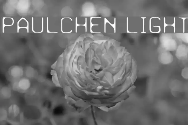 Paulchen Light Font examples