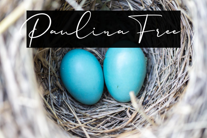 Paulina Free Example 2