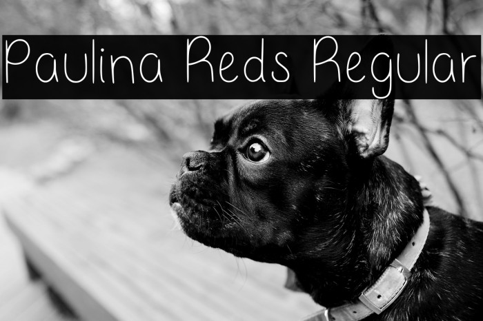 Paulina Reds Regular Example 1