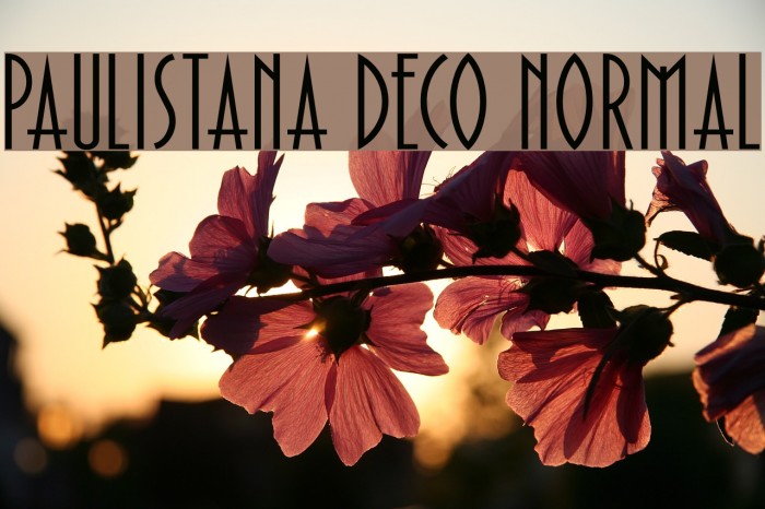 Paulistana Deco Normal Font examples