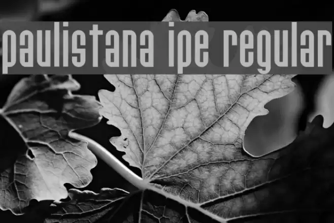 Paulistana Ipe Regular Font examples