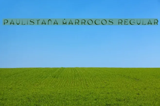 Paulistana Marrocos Regular Example 1