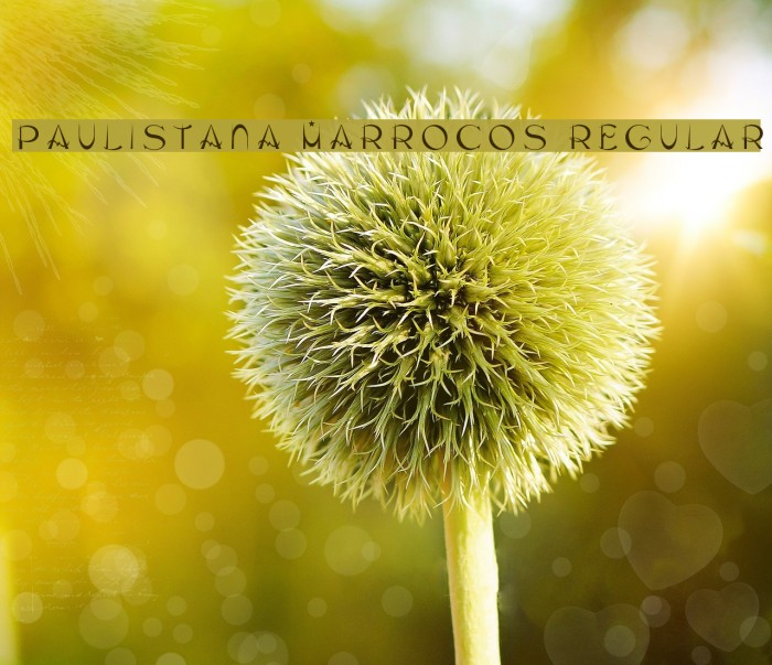 Paulistana Marrocos Regular Font examples