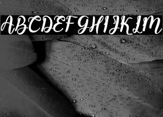 Paulline フォント examples