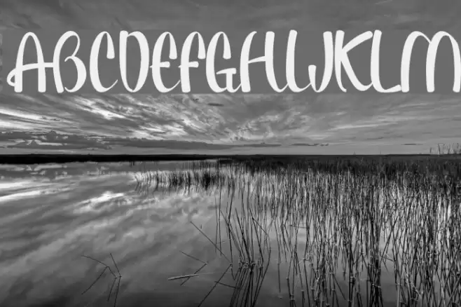 Paulo Pacito - Schriftart examples