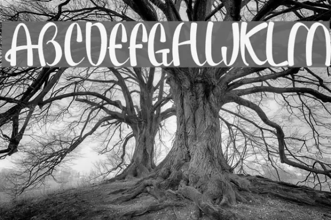 Paulo Pacito - Schriftart examples