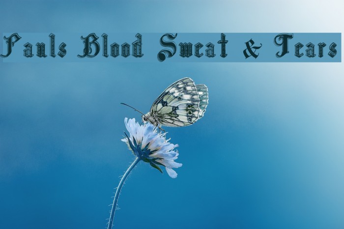 Pauls Blood Sweat & Tears Font examples