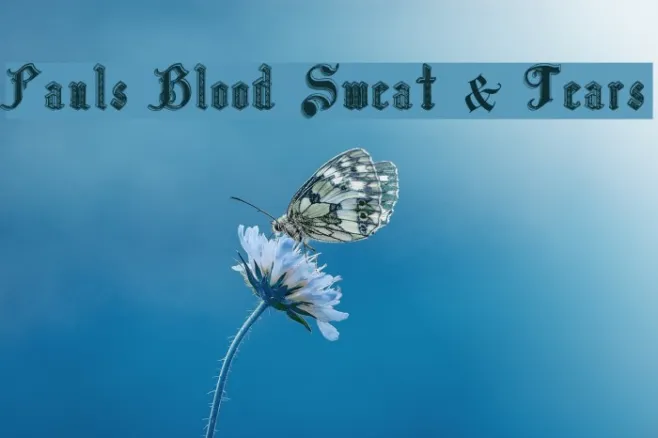 Pauls Blood Sweat & Tears Example 2