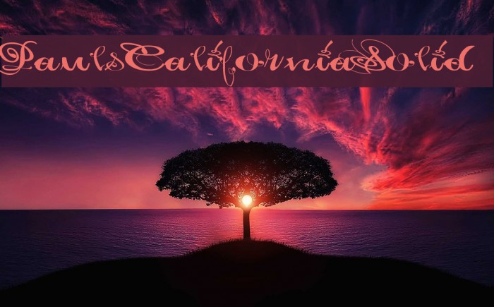 Pauls California Solid Font examples