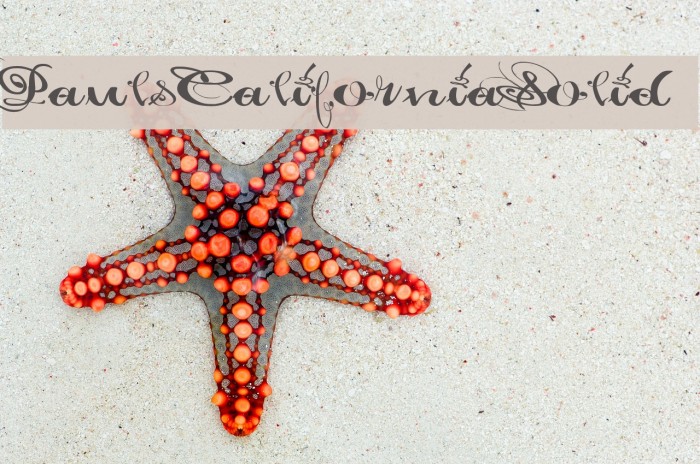 Pauls California Solid Font examples