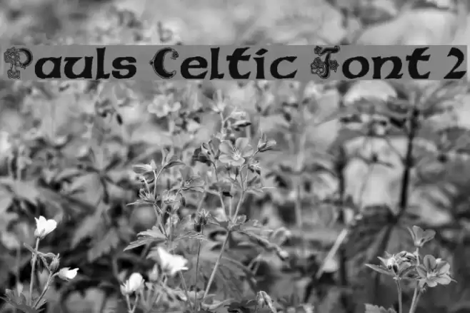 Pauls Celtic Font 2 Font examples