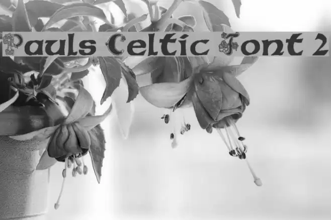 Pauls Celtic Font 2 Font examples