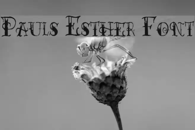 Pauls Esther Font フォント examples