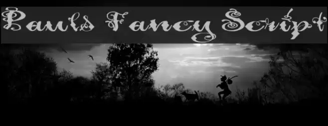 Pauls Fancy Script Font examples
