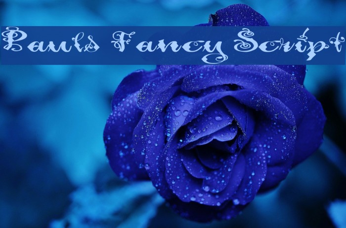 Pauls Fancy Script Font examples
