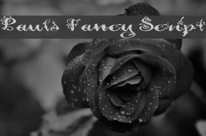 Pauls Fancy Script Font examples