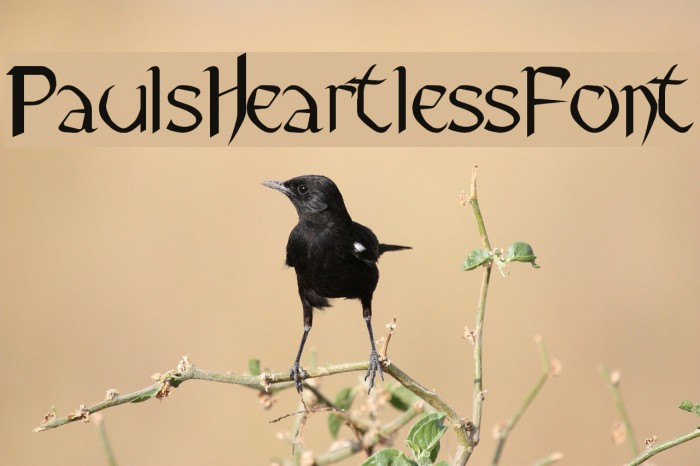 Pauls Heartless Font Font examples