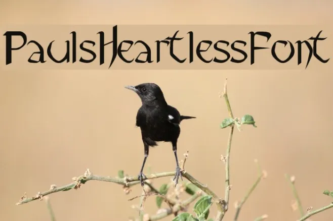 Pauls Heartless Font Example 3