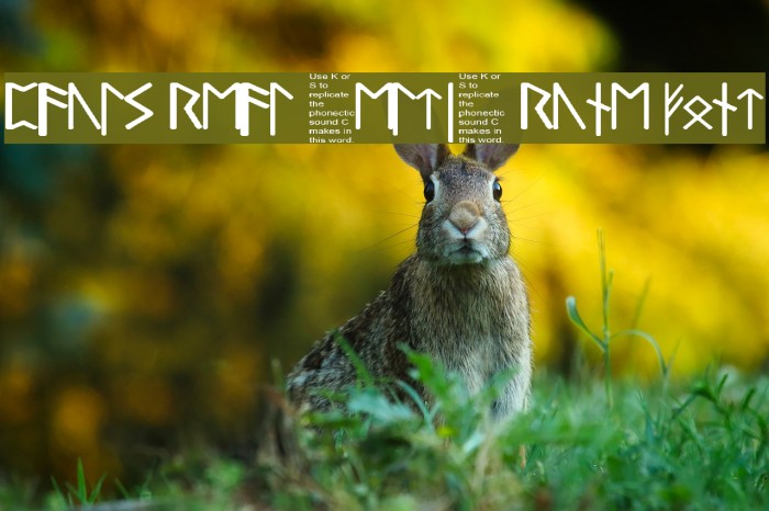 Pauls Real Celtic Rune Font Font examples