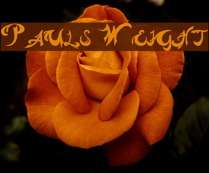 Pauls Weight Font examples