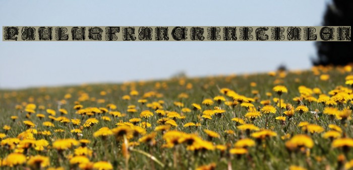 PaulusFranckInitialen Font examples