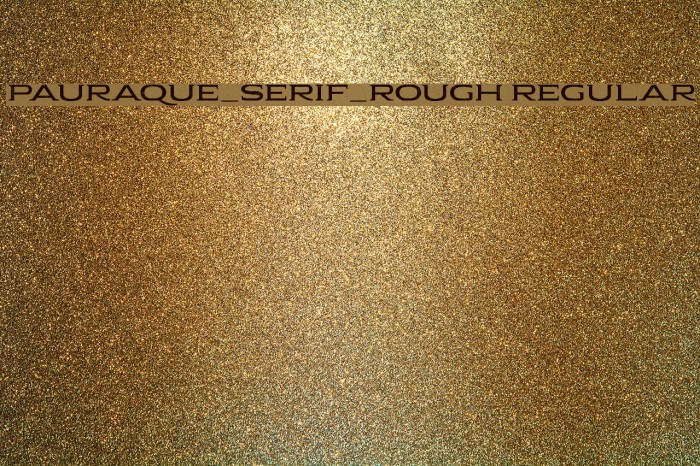 Pauraque_Serif_Rough Regular Example 2