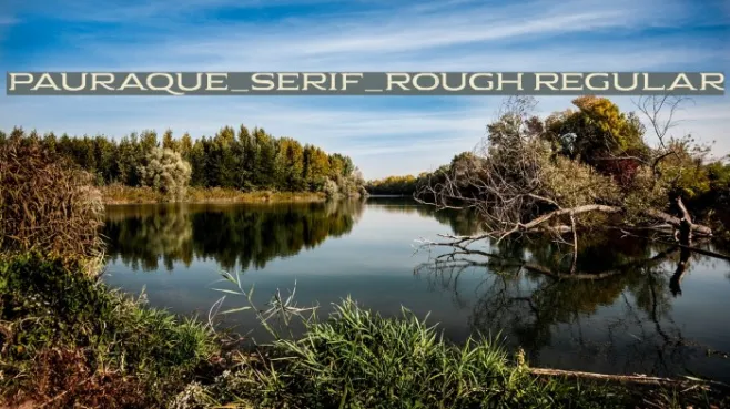 Pauraque_Serif_Rough Regular Example 3