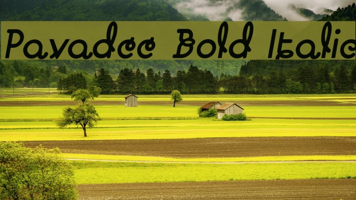 Pavadee Bold Italic Example 3