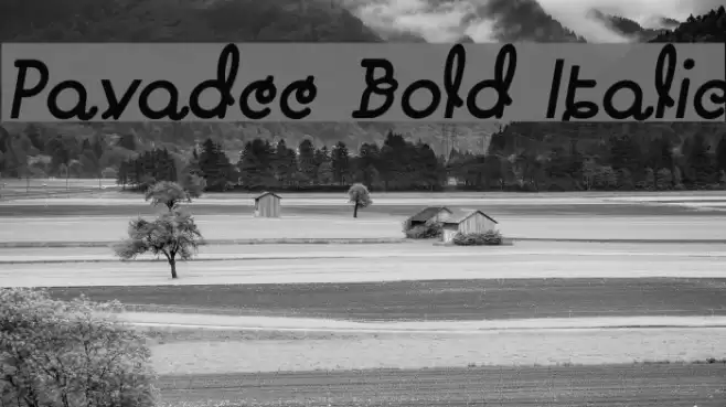 Pavadee Bold Italic Font examples
