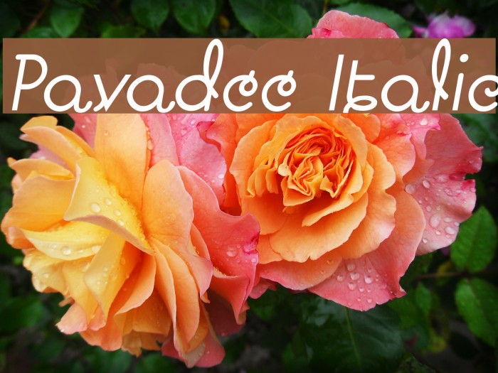 Pavadee Italic Font examples
