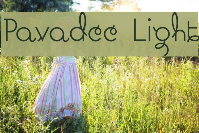 Pavadee Light Example 1