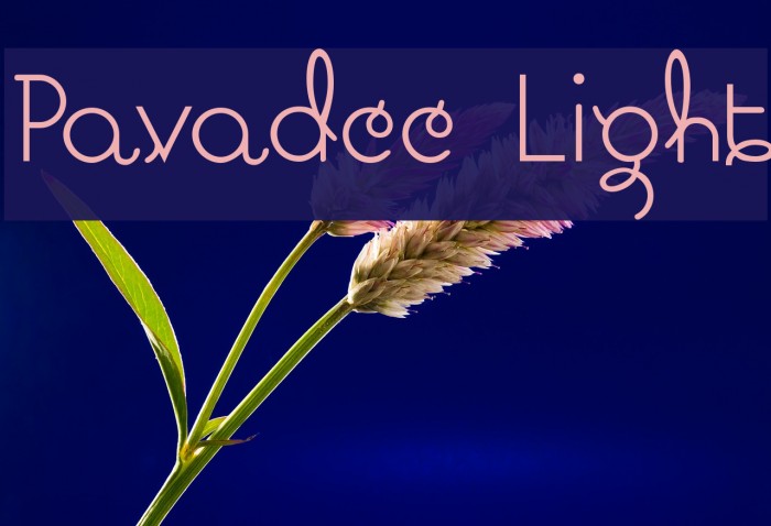 Pavadee Light Example 3