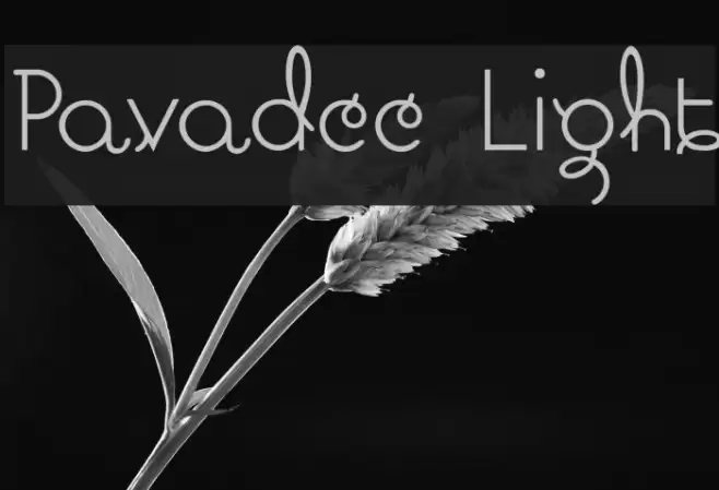 Pavadee Light Font examples