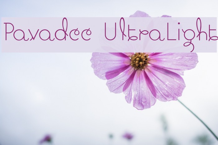 Pavadee UltraLight Example 3