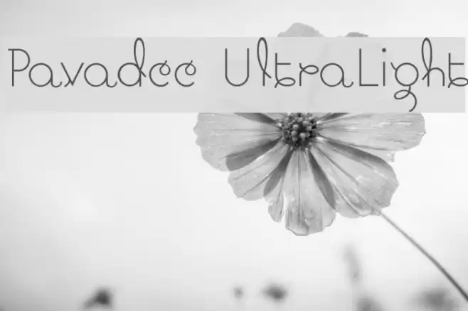 Pavadee UltraLight Font examples