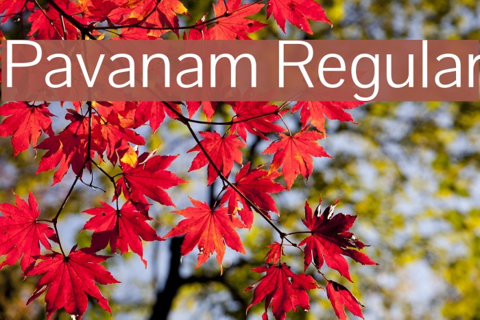 Pavanam Regular Font examples