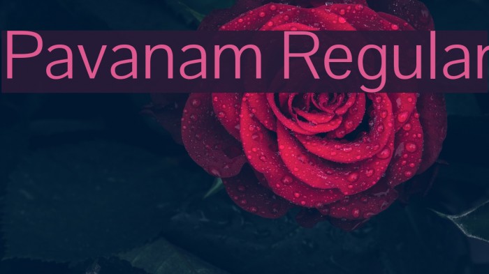 Pavanam Regular Font examples