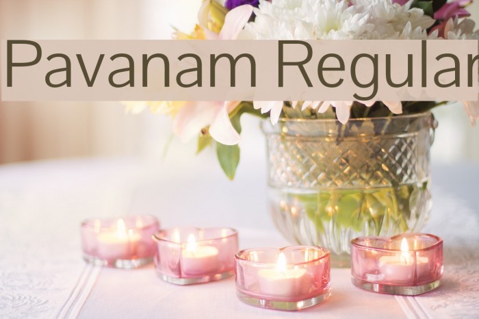 Pavanam Regular Font examples