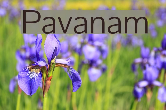 Pavanam Font examples