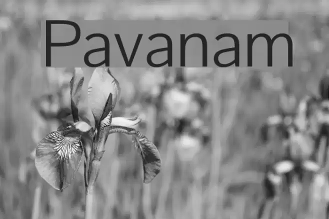 Pavanam Font examples