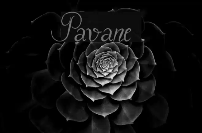 Pavane Font examples