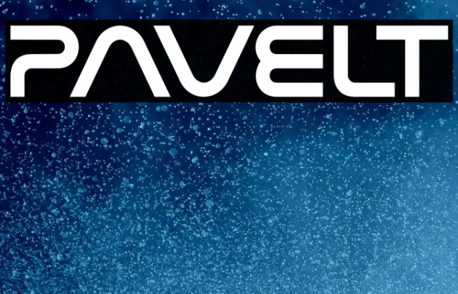 Pavelt Example 1