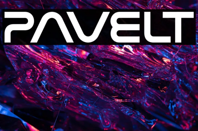 Pavelt Example 2