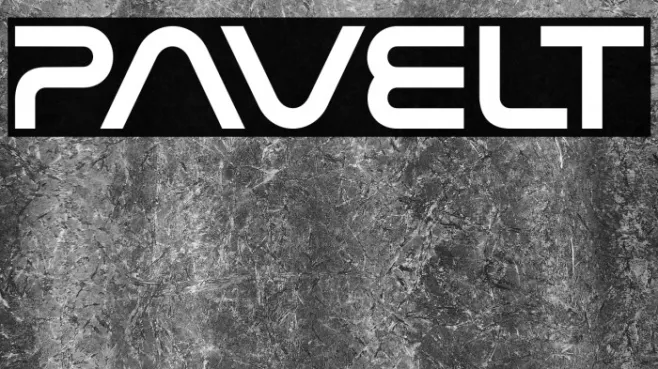Pavelt Example 3