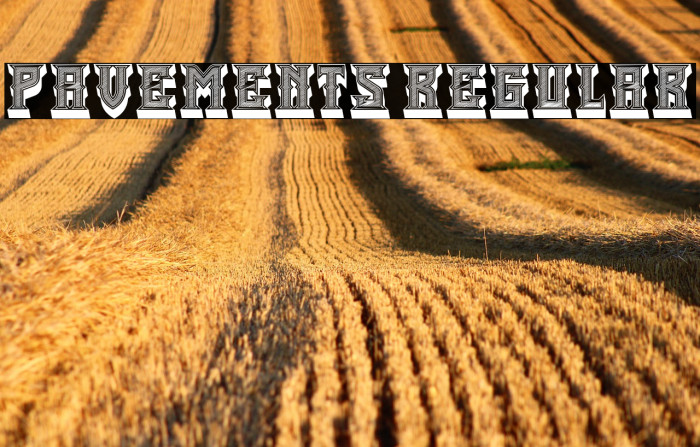 Pavements Regular Example 3