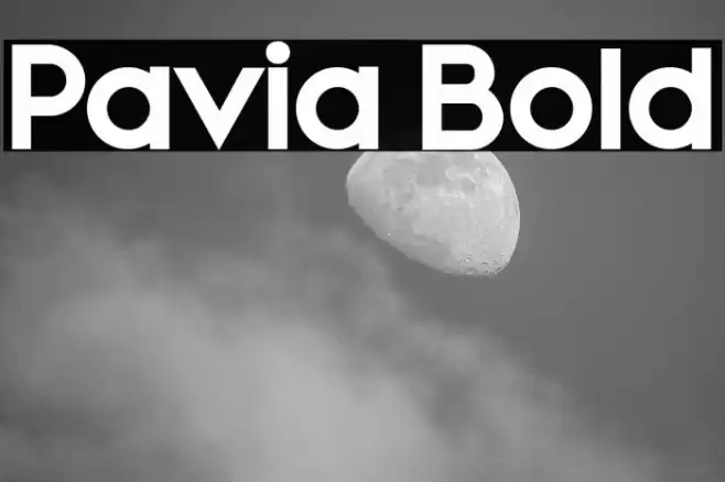 Pavia Bold Font examples