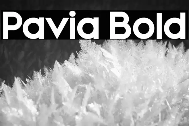 Pavia Bold Font examples