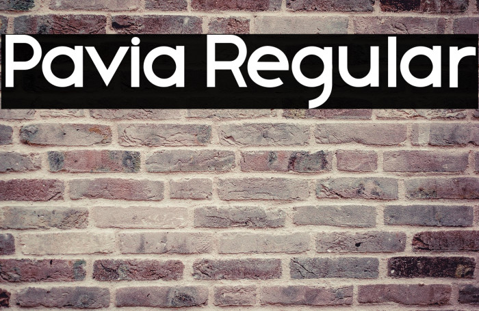 Pavia Regular Example 3