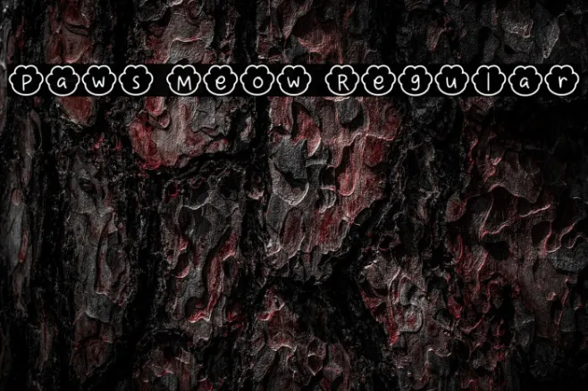 Paws Meow Regular Example 2