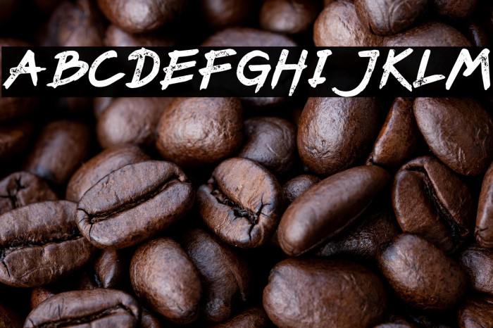 PaxSuyudz Bold Example 2